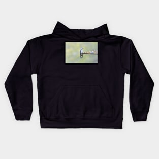 Nuthatch Kids Hoodie